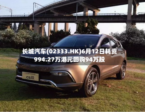 长城汽车(02333.HK)6月12日耗资994.27万港元回购94万股