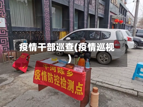 疫情干部巡查(疫情巡视)