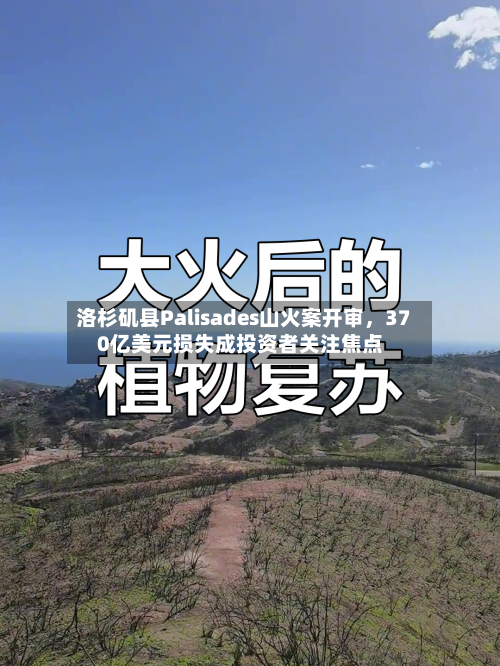 洛杉矶县Palisades山火案开审，370亿美元损失成投资者关注焦点-第3张图片