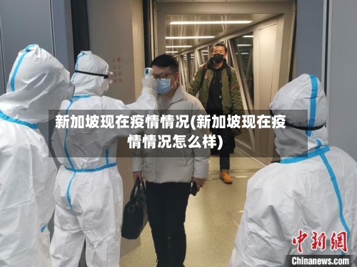 新加坡现在疫情情况(新加坡现在疫情情况怎么样)