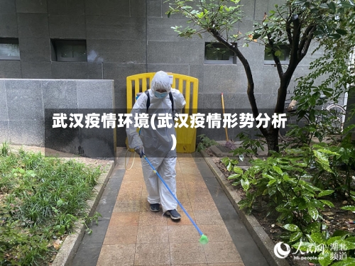 武汉疫情环境(武汉疫情形势分析)-第2张图片
