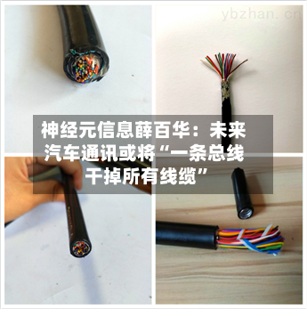 神经元信息薛百华：未来汽车通讯或将“一条总线干掉所有线缆”-第2张图片