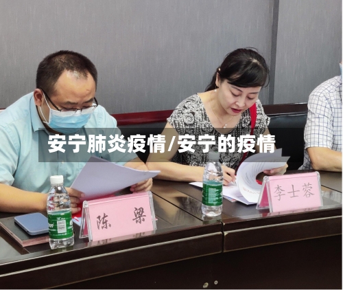 安宁肺炎疫情/安宁的疫情-第2张图片