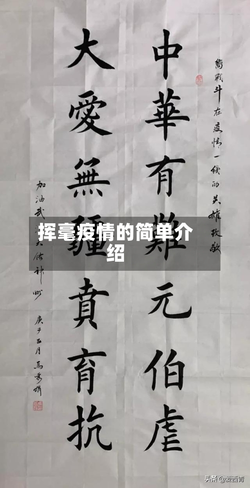 挥毫疫情的简单介绍-第2张图片