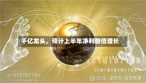 千亿龙头，预计上半年净利翻倍增长-第3张图片