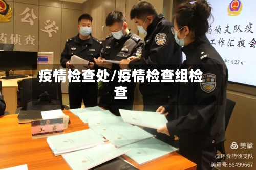 疫情检查处/疫情检查组检查-第2张图片