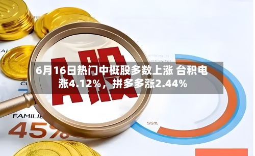 6月16日热门中概股多数上涨 台积电涨4.12%，拼多多涨2.44%-第2张图片