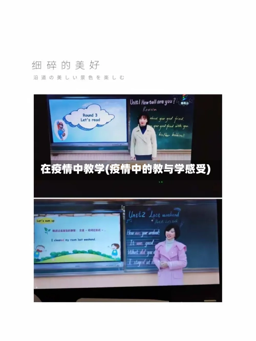 在疫情中教学(疫情中的教与学感受)