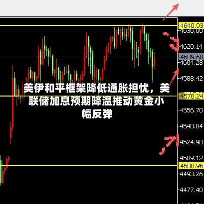美伊和平框架降低通胀担忧，美联储加息预期降温推动黄金小幅反弹-第2张图片