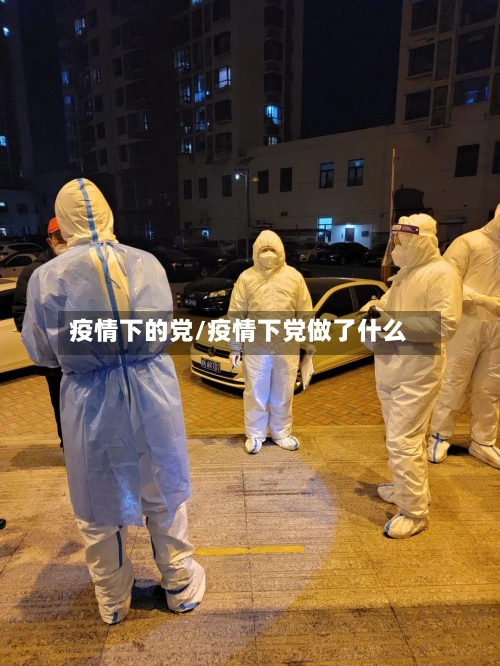 疫情下的党/疫情下党做了什么