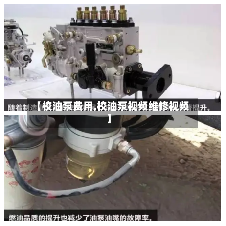 【校油泵费用,校油泵视频维修视频】-第3张图片