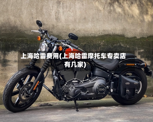 上海哈雷费用(上海哈雷摩托车专卖店有几家)
