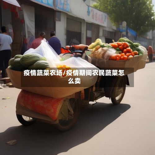 疫情蔬菜农场/疫情期间农民蔬菜怎么卖-第2张图片