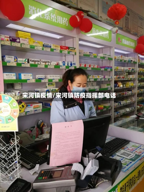 宋河镇疫情/宋河镇防疫指挥部电话-第2张图片