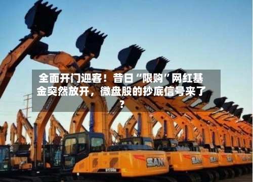 全面开门迎客！昔日“限购”网红基金突然放开，微盘股的抄底信号来了？-第3张图片