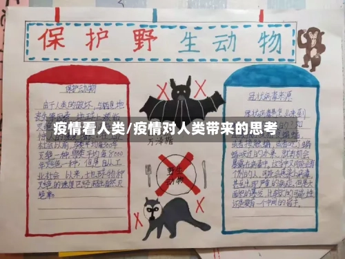 疫情看人类/疫情对人类带来的思考-第2张图片