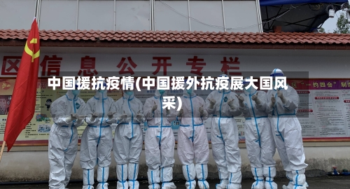中国援抗疫情(中国援外抗疫展大国风采)-第3张图片