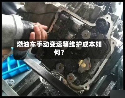 燃油车手动变速箱维护成本如何?-第2张图片