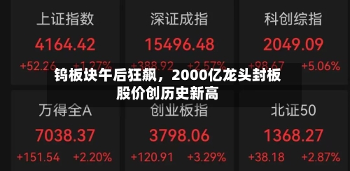 钨板块午后狂飙	，2000亿龙头封板股价创历史新高-第2张图片