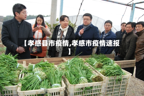 【孝感县市疫情,孝感市疫情速报】