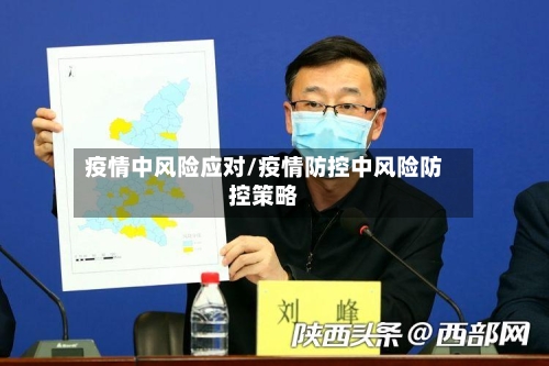 疫情中风险应对/疫情防控中风险防控策略-第2张图片