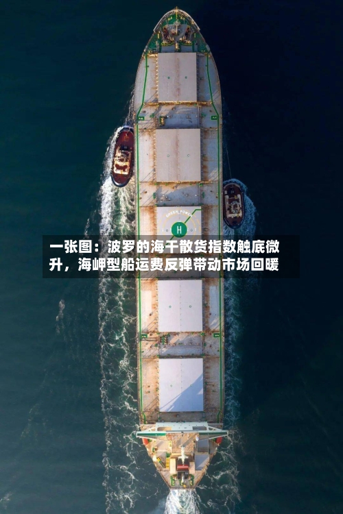 一张图：波罗的海干散货指数触底微升	，海岬型船运费反弹带动市场回暖-第2张图片