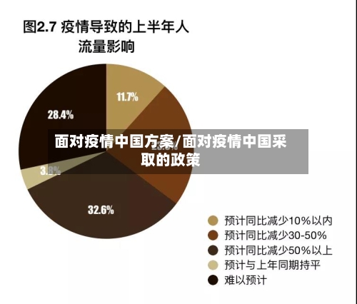 面对疫情中国方案/面对疫情中国采取的政策-第2张图片