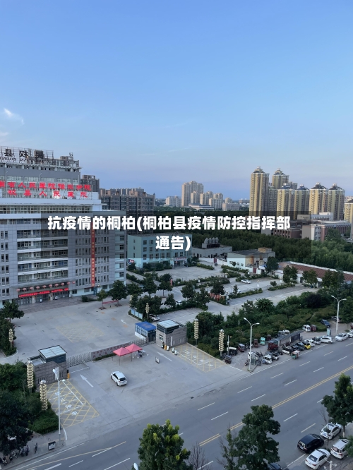 抗疫情的桐柏(桐柏县疫情防控指挥部通告)