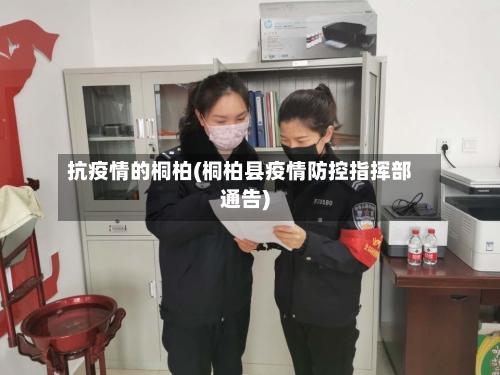 抗疫情的桐柏(桐柏县疫情防控指挥部通告)-第3张图片