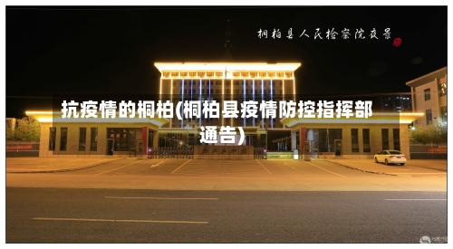 抗疫情的桐柏(桐柏县疫情防控指挥部通告)-第2张图片