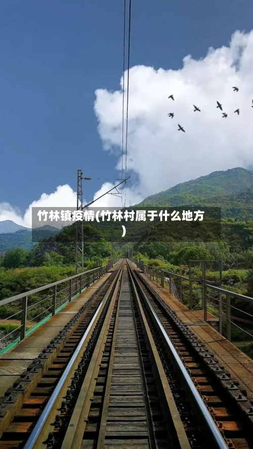 竹林镇疫情(竹林村属于什么地方)-第2张图片
