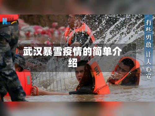 武汉暴雪疫情的简单介绍-第2张图片