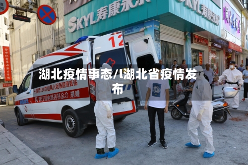 湖北疫情事态/l湖北省疫情发布