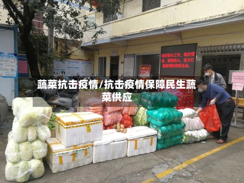 蔬菜抗击疫情/抗击疫情保障民生蔬菜供应-第3张图片