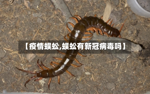 【疫情蜈蚣,蜈蚣有新冠病毒吗】-第2张图片