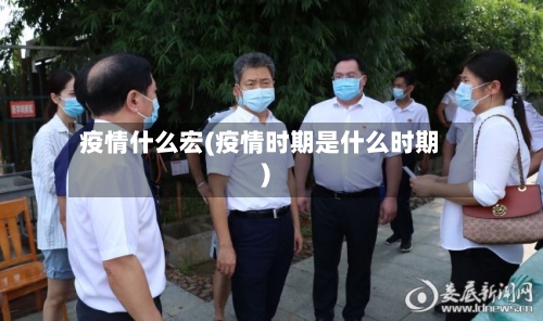 疫情什么宏(疫情时期是什么时期)-第2张图片