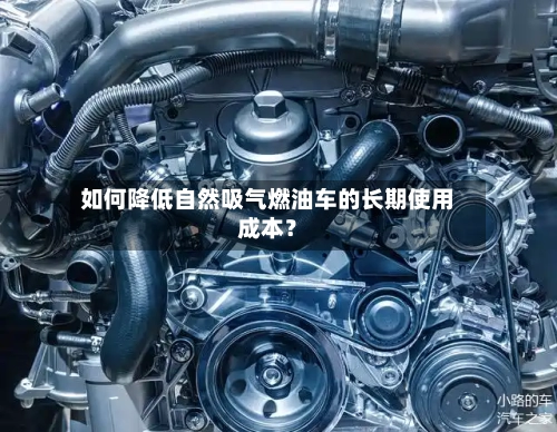 如何降低自然吸气燃油车的长期使用成本？-第2张图片
