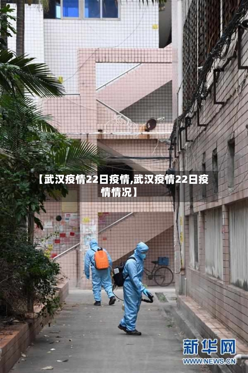 【武汉疫情22日疫情,武汉疫情22日疫情情况】-第2张图片