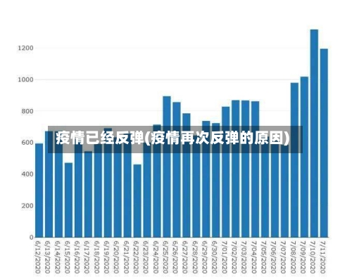 疫情已经反弹(疫情再次反弹的原因)-第3张图片