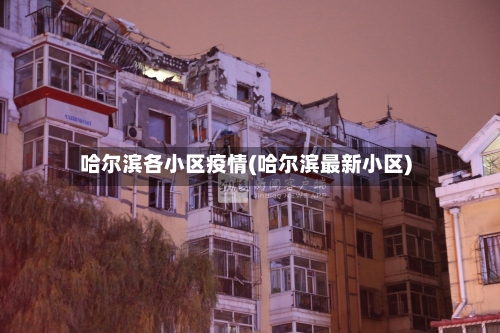 哈尔滨各小区疫情(哈尔滨最新小区)-第2张图片