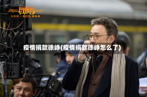 疫情捐款徐峥(疫情捐款徐峥怎么了)
