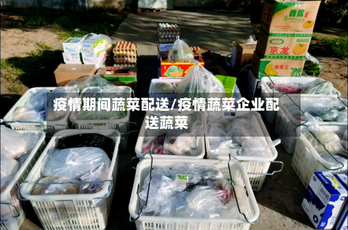 疫情期间蔬菜配送/疫情蔬菜企业配送蔬菜