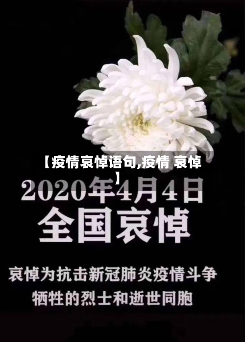 【疫情哀悼语句,疫情 哀悼】