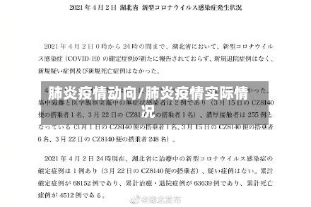 肺炎疫情动向/肺炎疫情实际情况-第2张图片