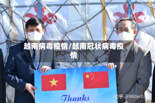 越南病毒疫情/越南冠状病毒疫情