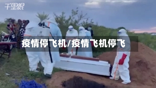 疫情停飞机/疫情飞机停飞-第2张图片