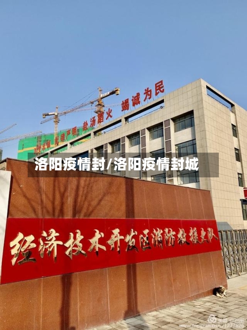 洛阳疫情封/洛阳疫情封城