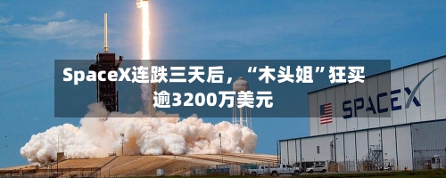 SpaceX连跌三天后	，“木头姐”狂买逾3200万美元-第2张图片