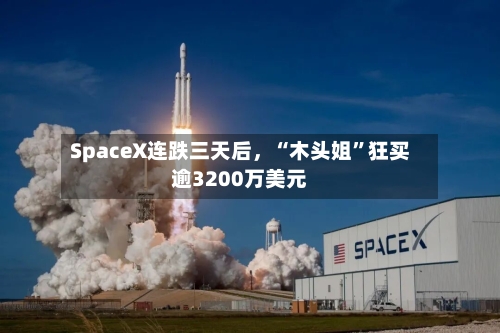 SpaceX连跌三天后，“木头姐”狂买逾3200万美元