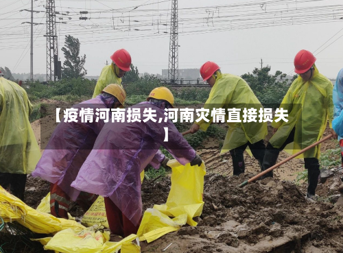 【疫情河南损失,河南灾情直接损失】